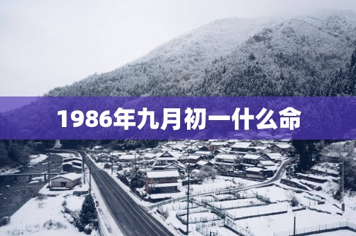 1986年九月初一什么命