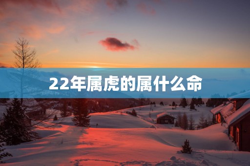 22年属虎的属什么命