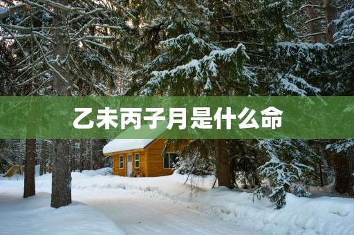 乙未丙子月是什么命