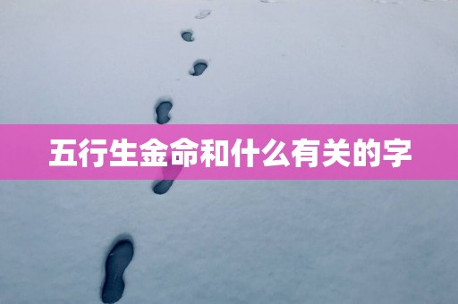 五行生金命和什么有关的字