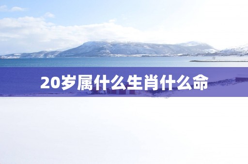 20岁属什么生肖什么命
