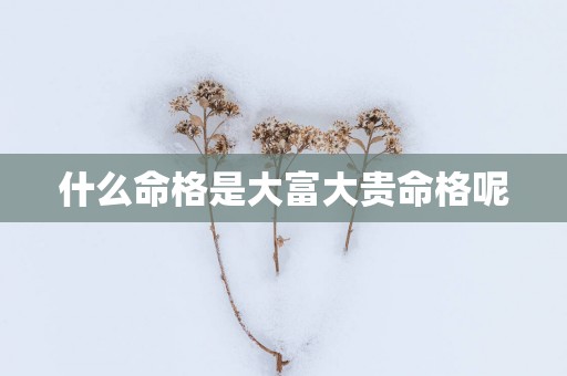 什么命格是大富大贵命格呢