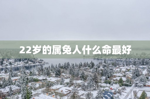 22岁的属兔人什么命最好