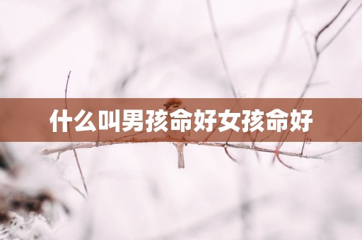 什么叫男孩命好女孩命好