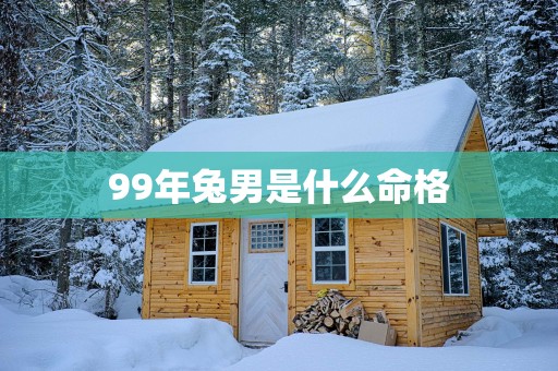 99年兔男是什么命格