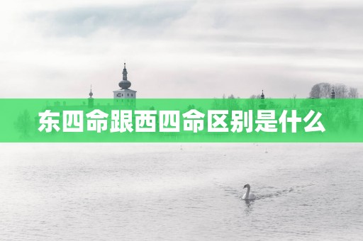 东四命跟西四命区别是什么