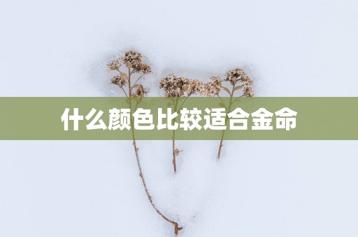 什么颜色比较适合金命