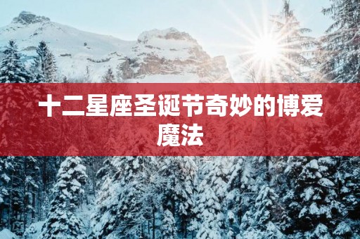 十二星座圣诞节奇妙的博爱魔法