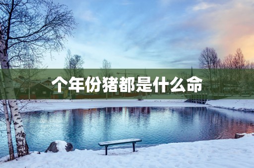 个年份猪都是什么命
