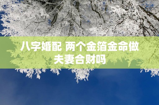 八字婚配 两个金箔金命做夫妻合财吗