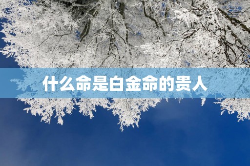 什么命是白金命的贵人