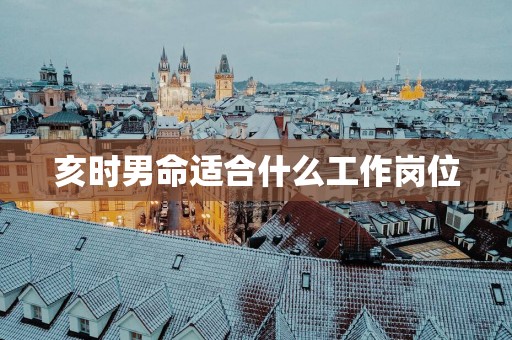 亥时男命适合什么工作岗位