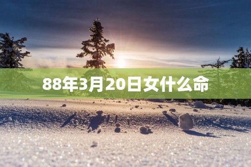 88年3月20日女什么命