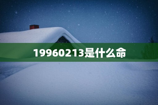 19960213是什么命