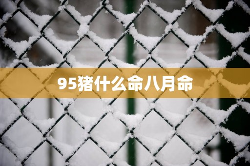 95猪什么命八月命