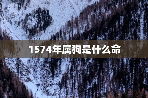 1574年属狗是什么命