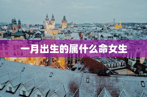一月出生的属什么命女生
