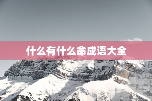 什么有什么命成语大全