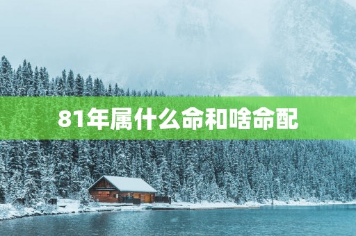 81年属什么命和啥命配