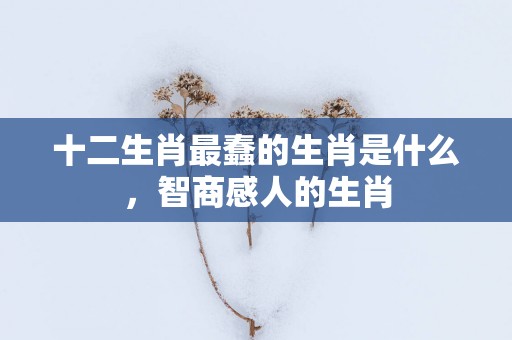 十二生肖最蠢的生肖是什么，智商感人的生肖