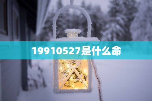 19910527是什么命