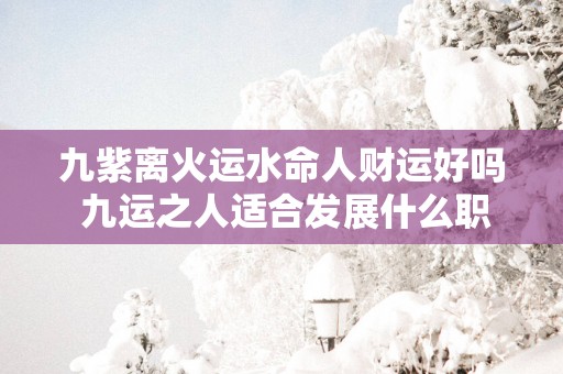 九紫离火运水命人财运好吗 九运之人适合发展什么职业