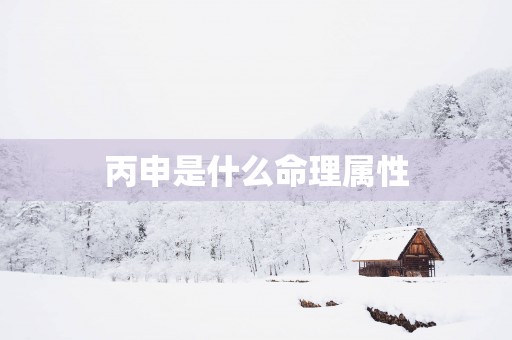 丙申是什么命理属性