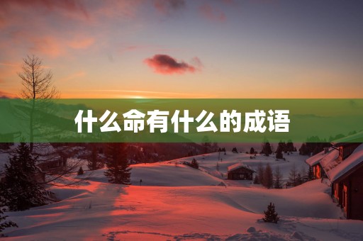 什么命有什么的成语