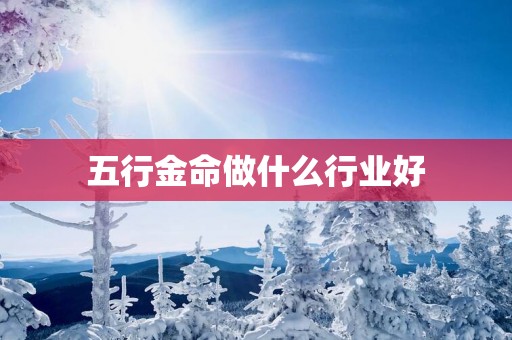 五行金命做什么行业好