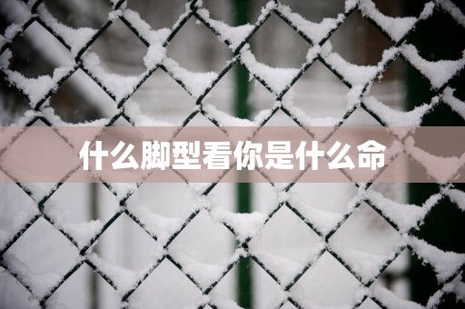 什么脚型看你是什么命