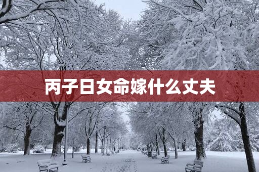 丙子日女命嫁什么丈夫
