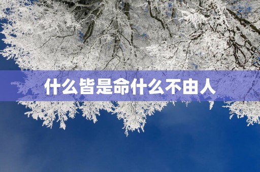 什么皆是命什么不由人