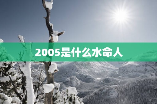 2005是什么水命人