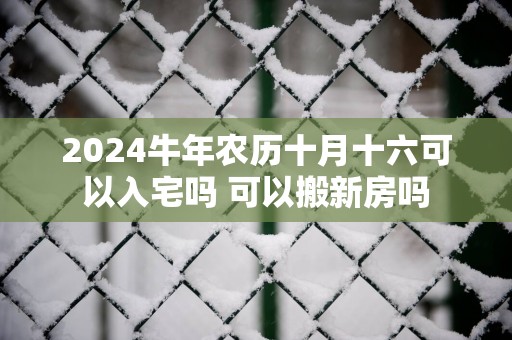 2025蛇年农历十月十六可以入宅吗 可以搬新房吗