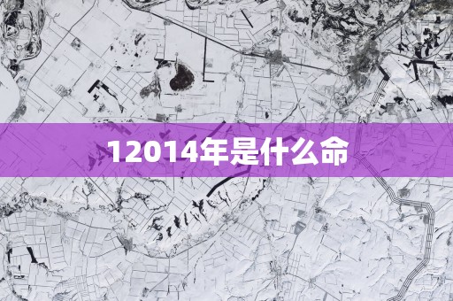 12014年是什么命