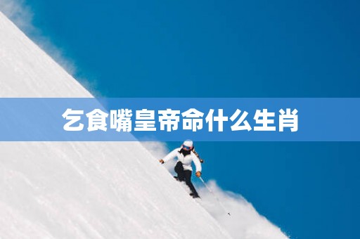 乞食嘴皇帝命什么生肖