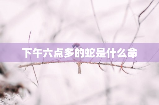 下午六点多的蛇是什么命