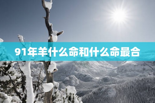 91年羊什么命和什么命最合