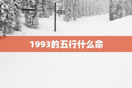 1993的五行什么命