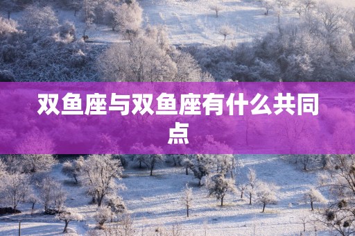 双鱼座与双鱼座有什么共同点