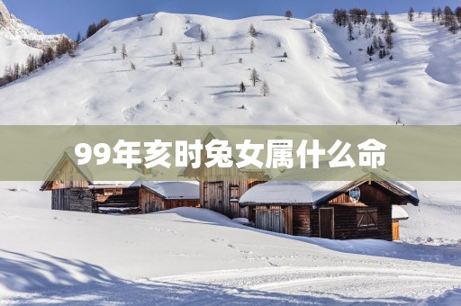 99年亥时兔女属什么命