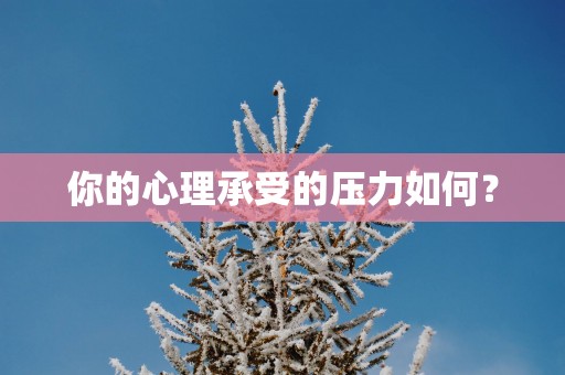 你的心理承受的压力如何？
