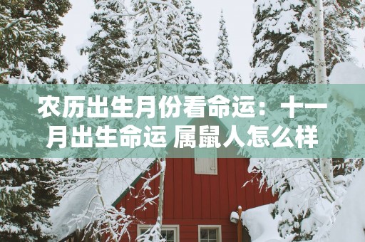 农历出生月份看命运：十一月出生命运 属鼠人怎么样