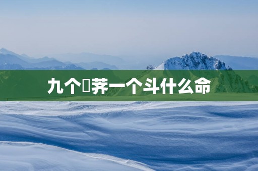 九个葧荠一个斗什么命