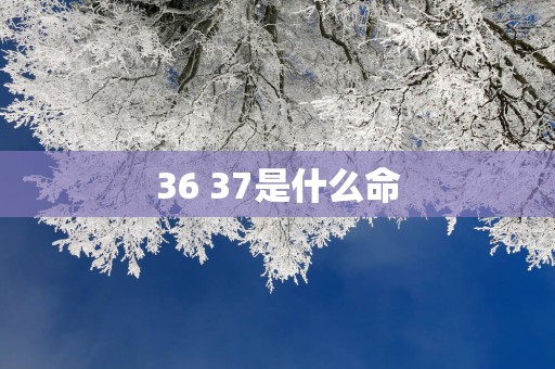 36 37是什么命
