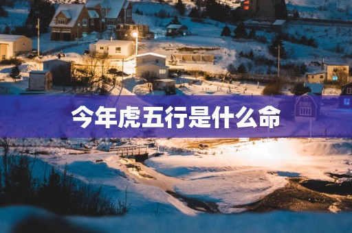 今年虎五行是什么命