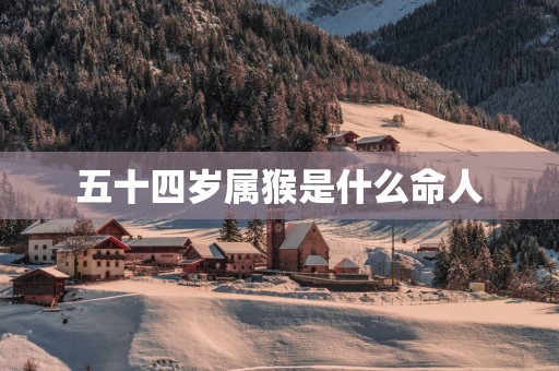 五十四岁属猴是什么命人