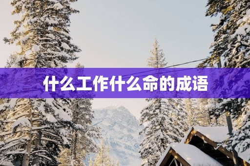 什么工作什么命的成语
