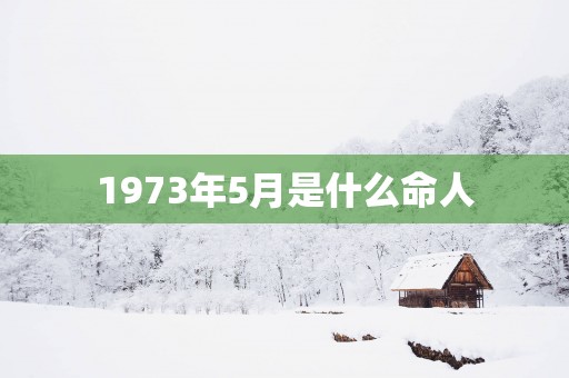 1973年5月是什么命人
