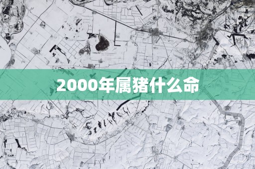 2000年属猪什么命